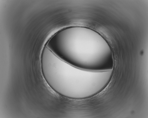 X0000097911192200803141022