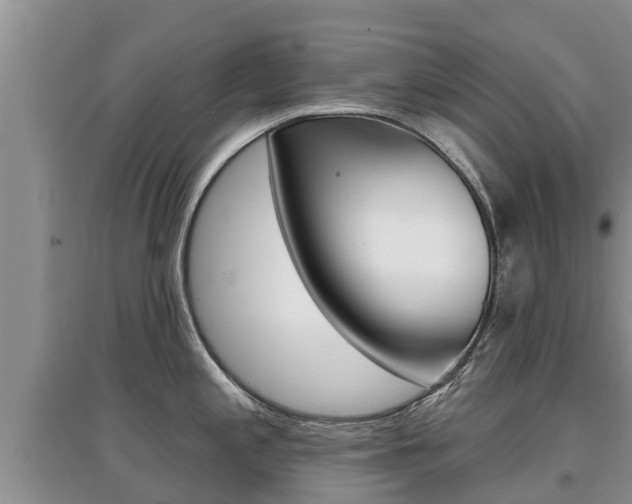X0000097911197200803141022