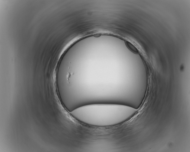 X0000097911198200803141022