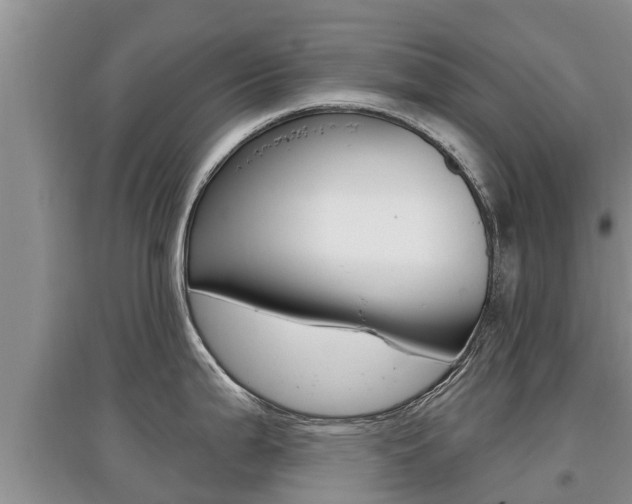 X0000097911199200803141022
