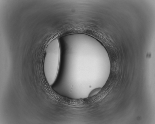 X0000097911201200803141022