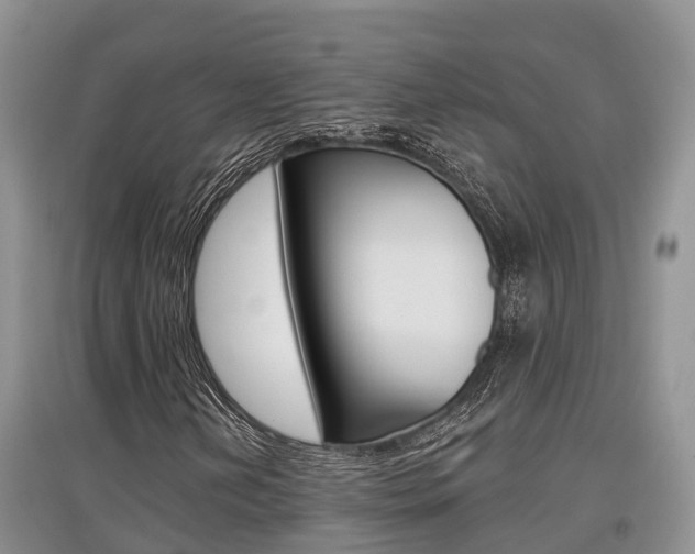 X0000097911202200803141022