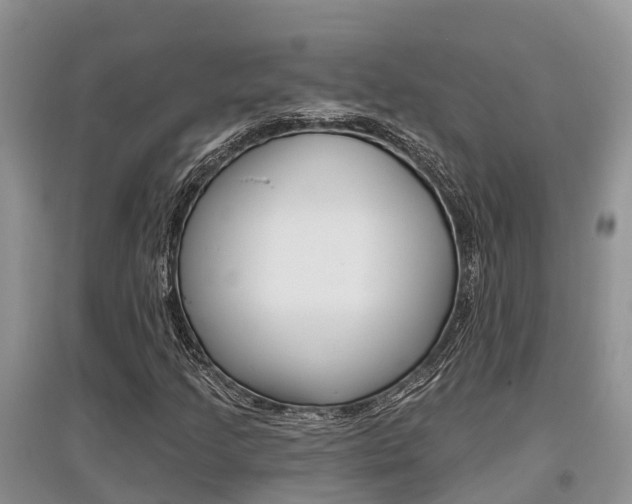 X0000097911205200803141022