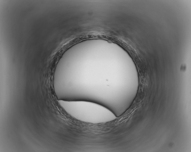 X0000097911207200803141022