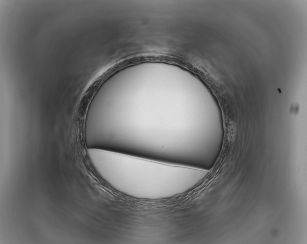 X0000097911208200803141022