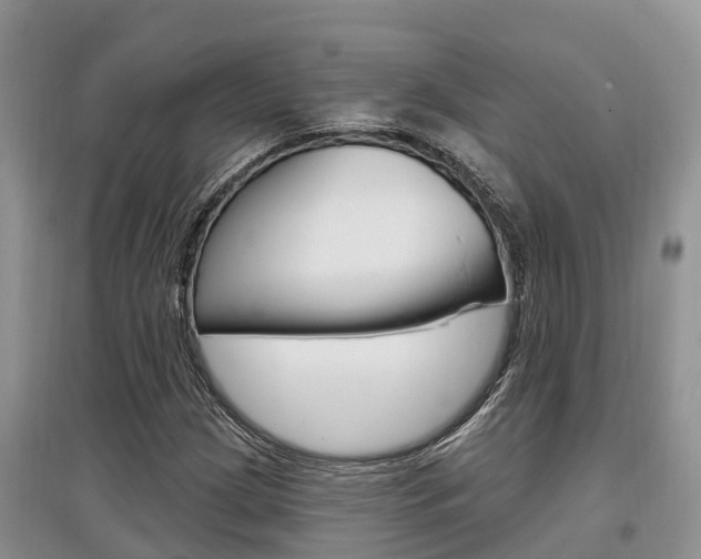 X0000097911209200803141022