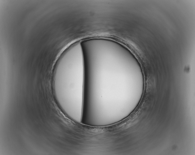 X0000097911212200803141022