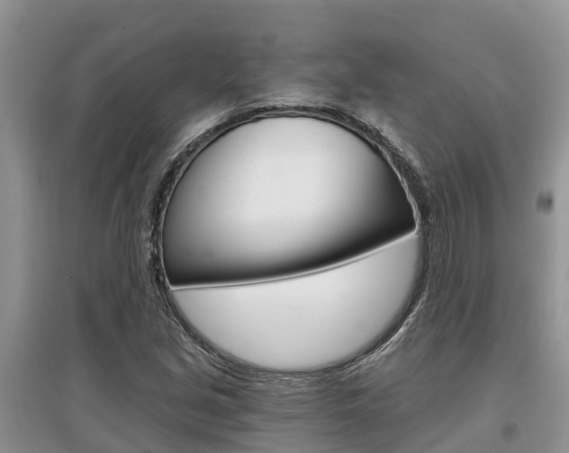 X0000097911213200803141022