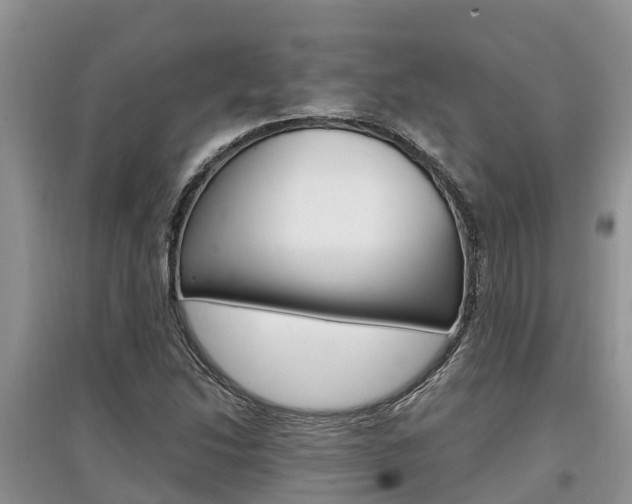 X0000097911214200803141022