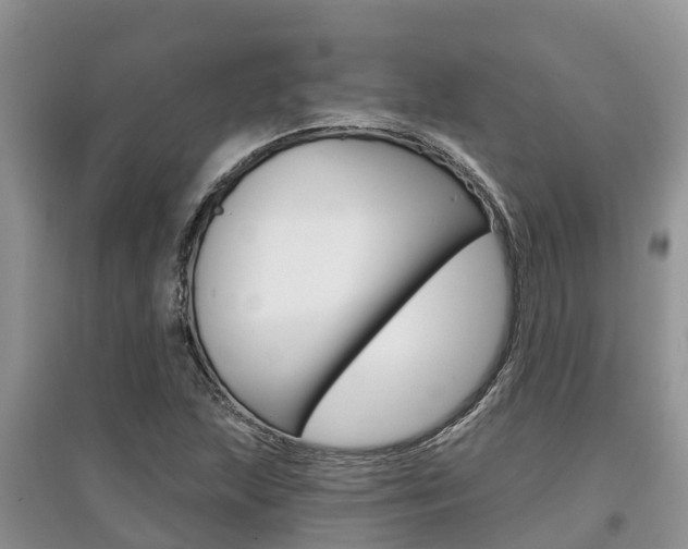 X0000097911215200803141022