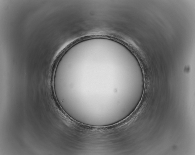 X0000097911216200803141022