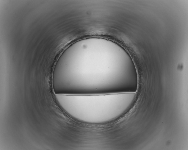 X0000097911217200803141022
