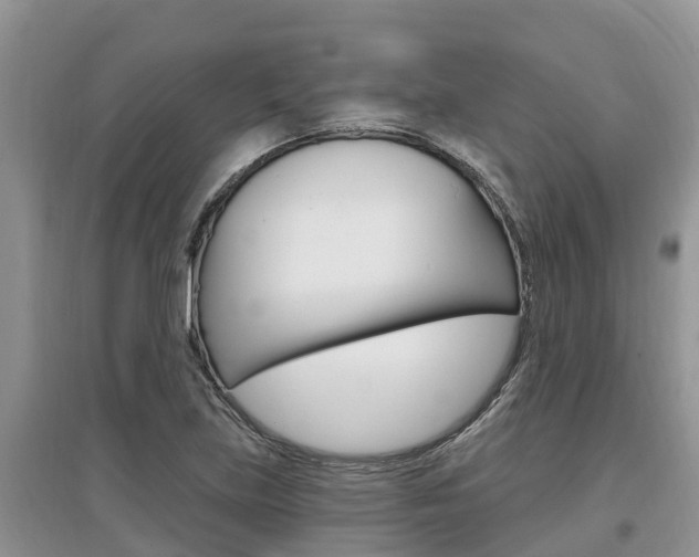 X0000097911219200803141022