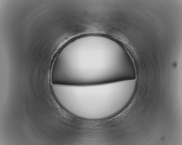 X0000097911220200803141022