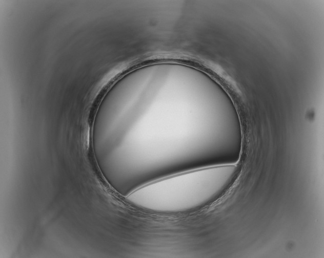 X0000097911221200803141022