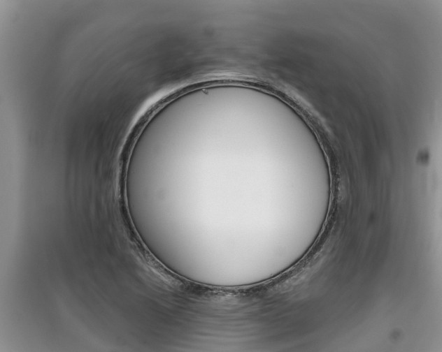 X0000097911222200803141022
