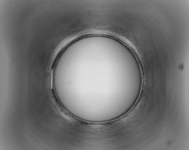 X0000097911223200803141022