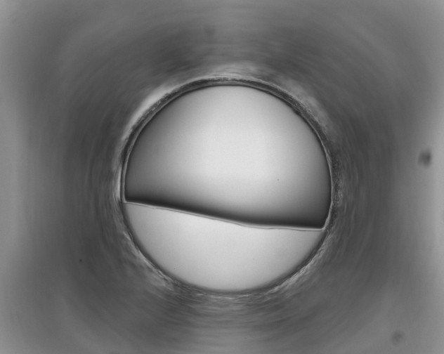 X0000097911224200803141022