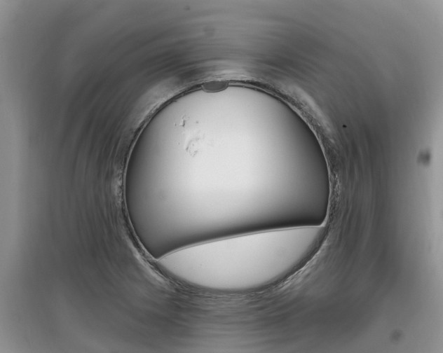 X0000097911225200803141022