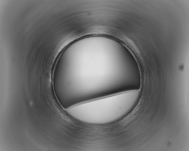 X0000097911226200803141022