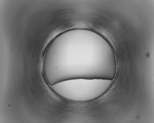 X0000097911227200803141022