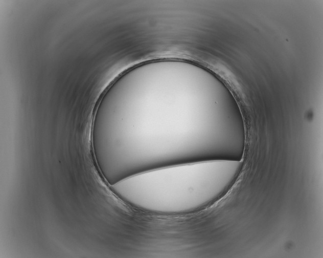 X0000097911228200803141022