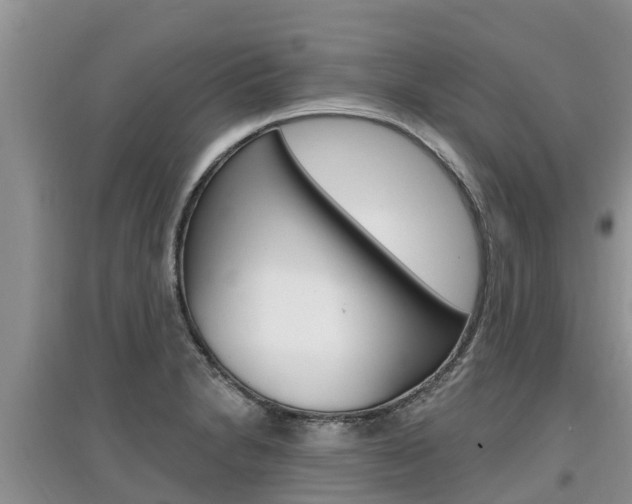 X0000097911230200803141022