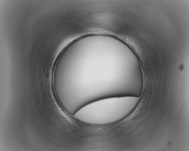 X0000097911231200803141022