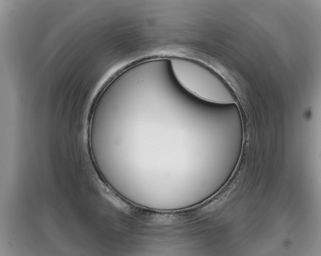 X0000097911232200803141022