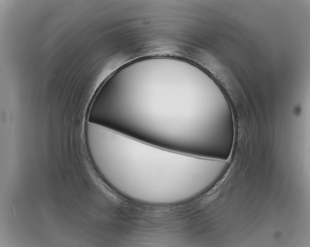 X0000097911234200803141022