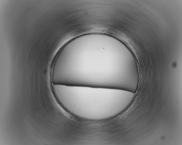 X0000097911235200803141022