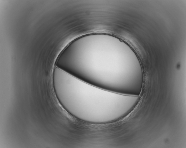 X0000097911236200803141022