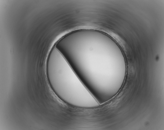 X0000097911238200803141022