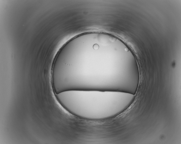X0000097911239200803141022