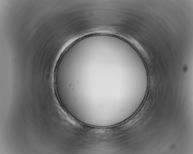 X0000097911240200803141022