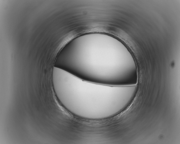 X0000097911241200803141022