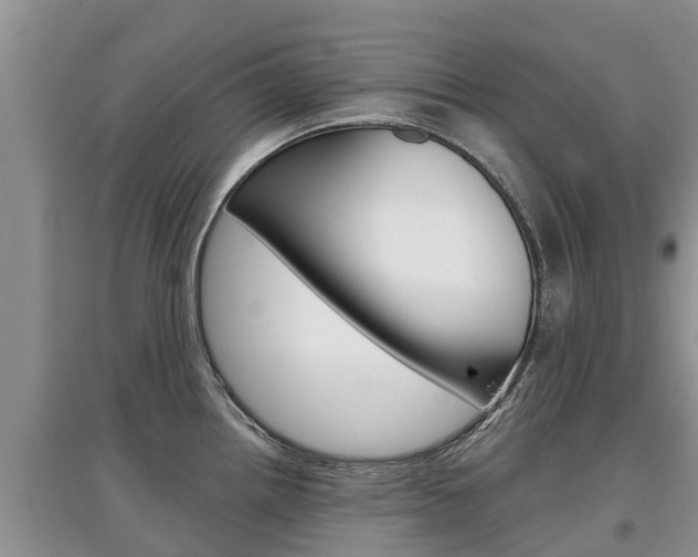 X0000097911242200803141022