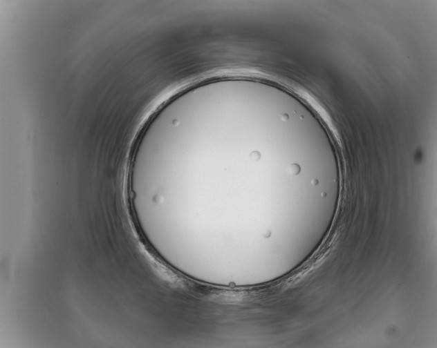 X0000097911245200803141022
