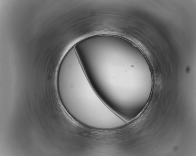 X0000097911246200803141022