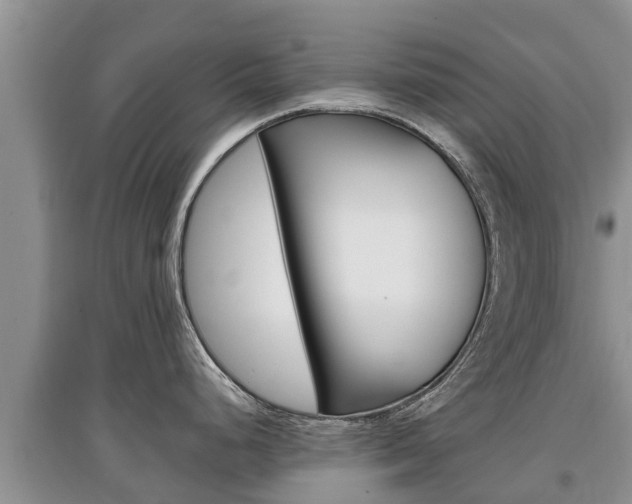 X0000097911248200803141022