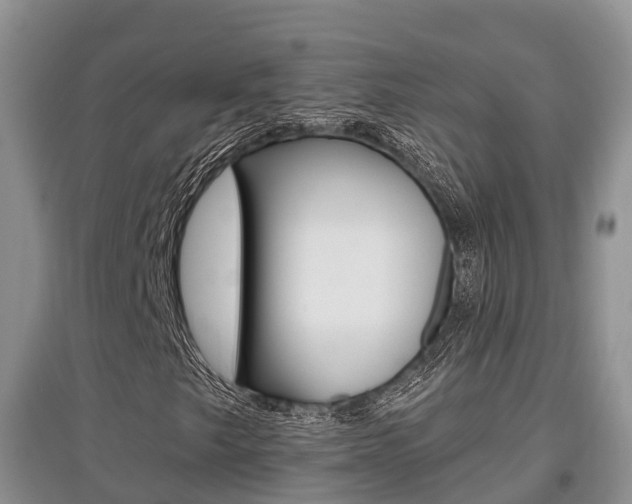 X0000097911249200803141022