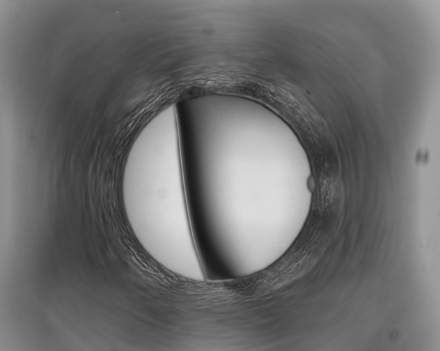 X0000097911250200803141022