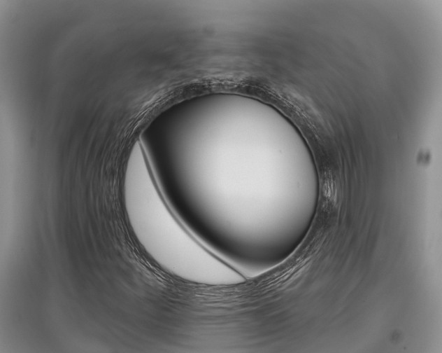 X0000097911252200803141022