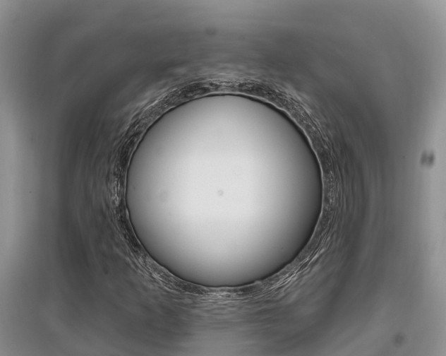 X0000097911253200803141022