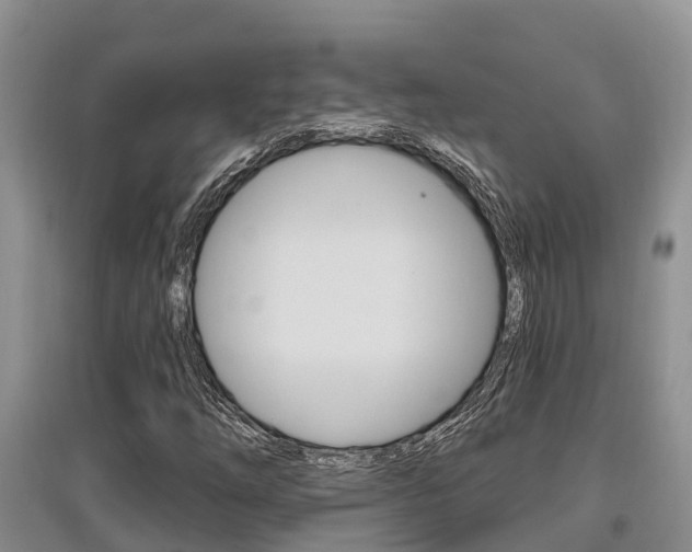 X0000097911254200803141022