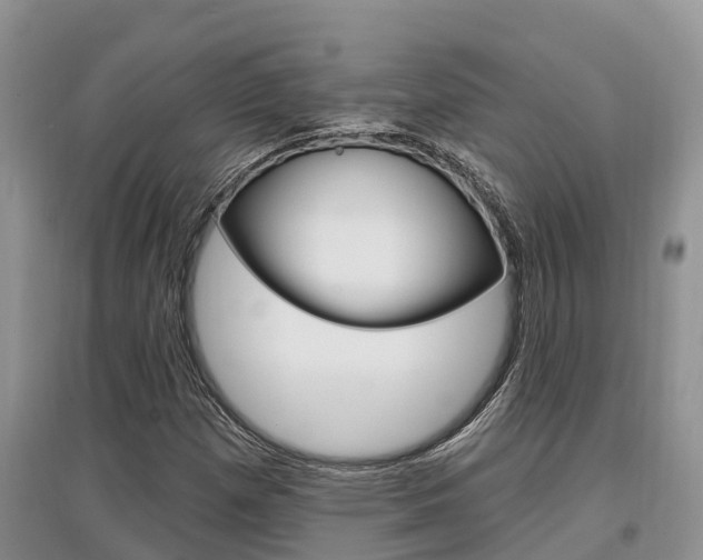 X0000097911257200803141021