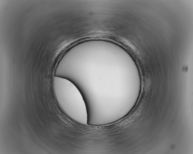 X0000097911259200803141021