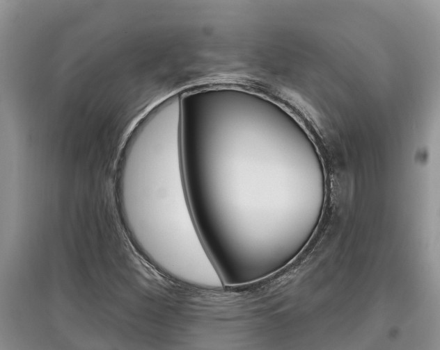 X0000097911260200803141021