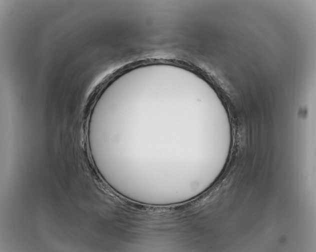 X0000097911262200803141021