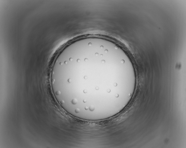 X0000097911263200803141021